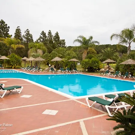 Classical Baia Delle Palme Premium Num1212 *